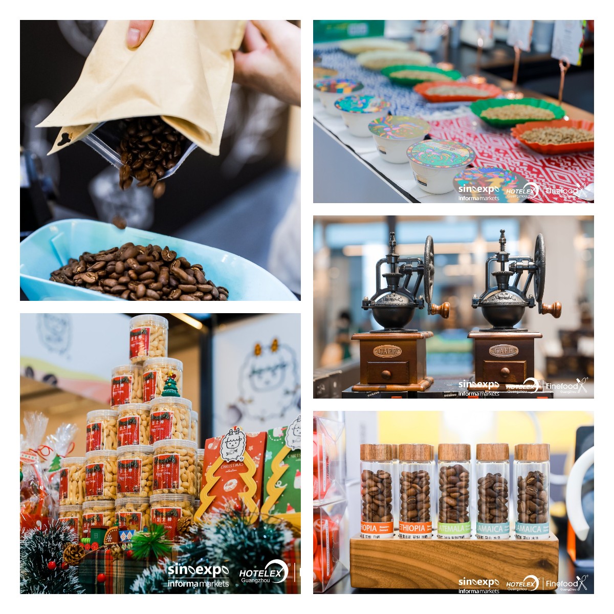 許多照片放在一起
描述已自動生成